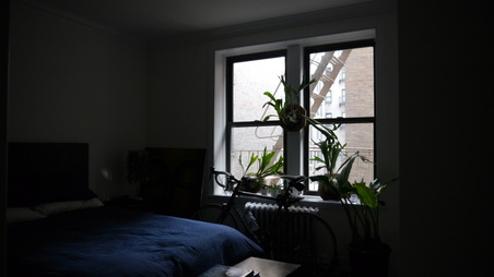 Enlarge photo 5