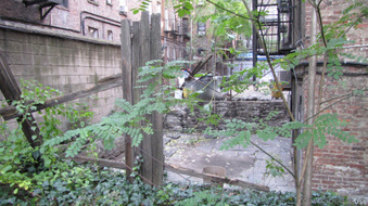 Enlarge photo 13