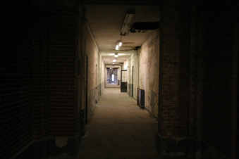 Enlarge photo 67