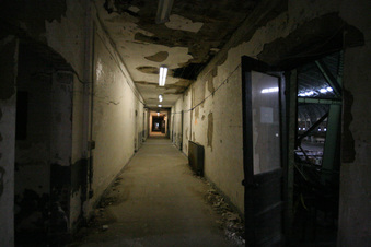 Enlarge photo 70