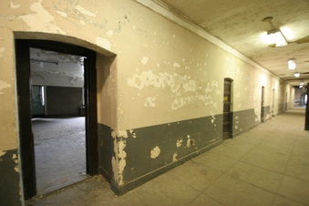 Enlarge photo 71