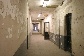 Enlarge photo 72