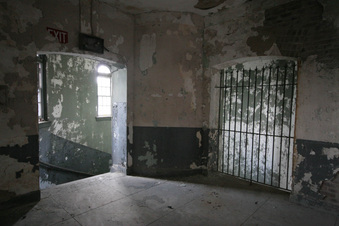 Enlarge photo 85