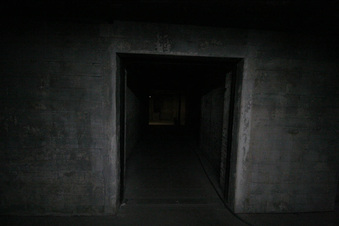Enlarge photo 129