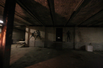 Enlarge photo 145