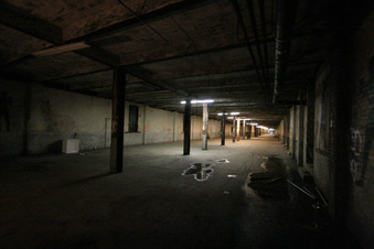 Enlarge photo 146