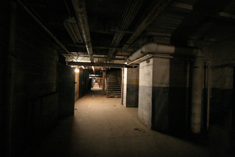 Enlarge photo 173