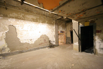 Enlarge photo 174