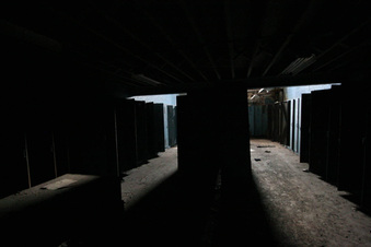 Enlarge photo 191