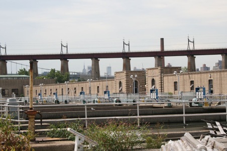 Enlarge photo 46