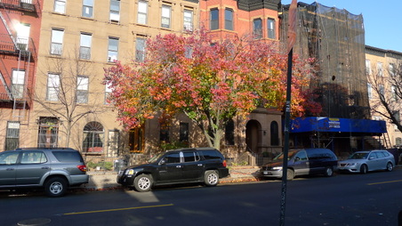 Enlarge photo 5