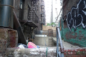 Enlarge photo 41