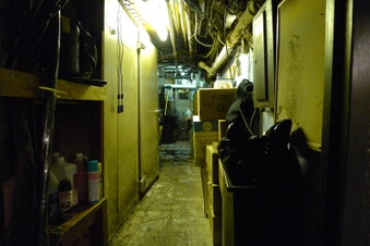 Enlarge photo 44
