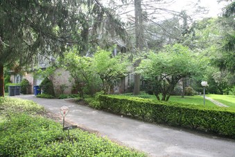 Enlarge photo 21