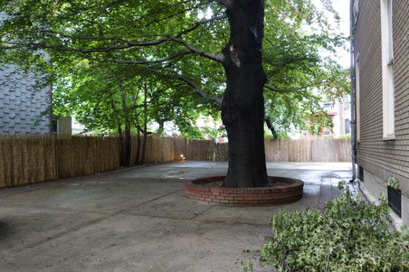 Enlarge photo 46