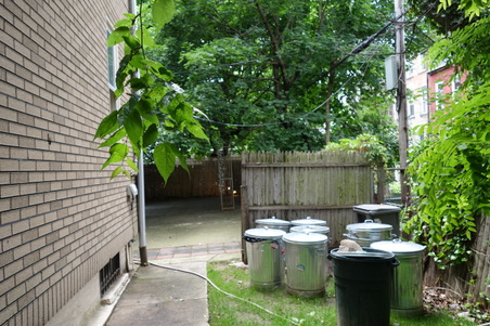 Enlarge photo 53