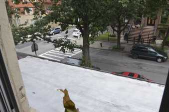 Enlarge photo 29