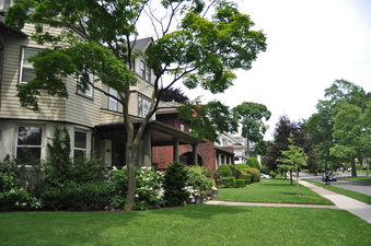 1203 Albermarle Ave.- Ditmas Park