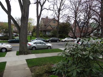 Enlarge photo 7
