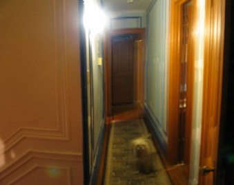 Enlarge photo 7