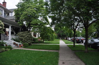 Enlarge photo 41