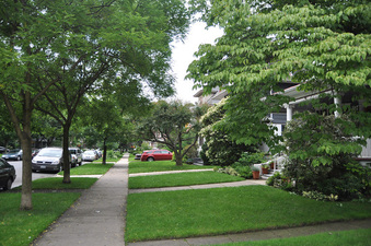 Enlarge photo 42