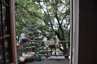 Enlarge photo 36