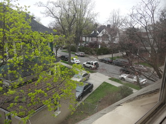 Enlarge photo 47