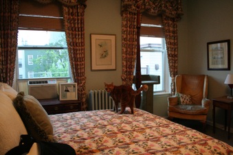 Enlarge photo 13