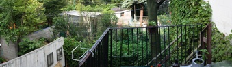 Enlarge photo 2