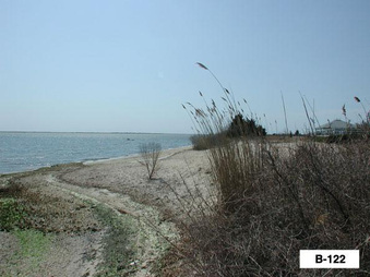 Enlarge photo 38