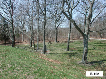 Enlarge photo 35