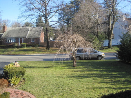 Enlarge photo 4