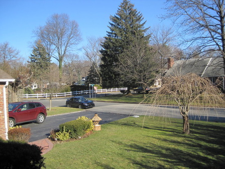 Enlarge photo 5