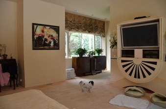 Enlarge photo 28