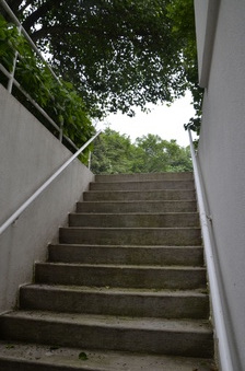 Enlarge photo 45