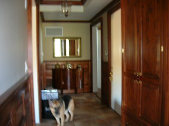 Enlarge photo 13