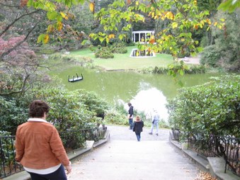 Enlarge photo 15
