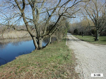 Enlarge photo 29