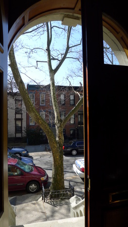 Enlarge photo 13