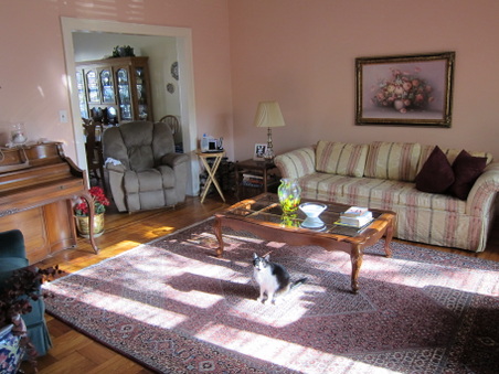 Enlarge photo 4