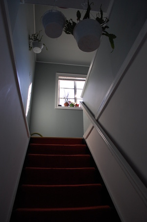 Enlarge photo 11