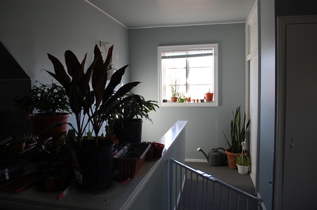 Enlarge photo 12