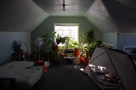 Enlarge photo 16