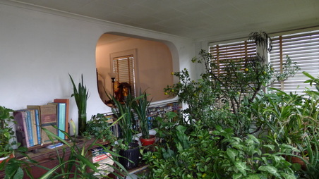 Enlarge photo 6