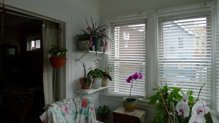 Enlarge photo 6