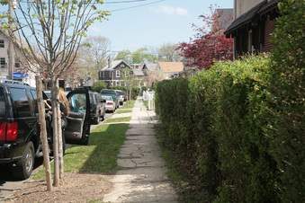 Enlarge photo 23
