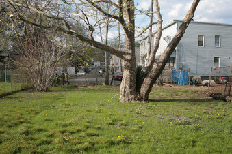 Enlarge photo 18