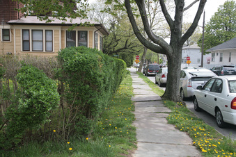 Enlarge photo 22