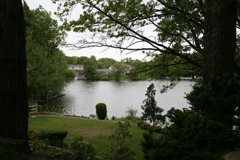 Enlarge photo 37